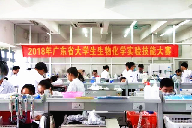 0638太阳集团学生荣获广东省生物化学实验技能大赛二等奖02.jpg